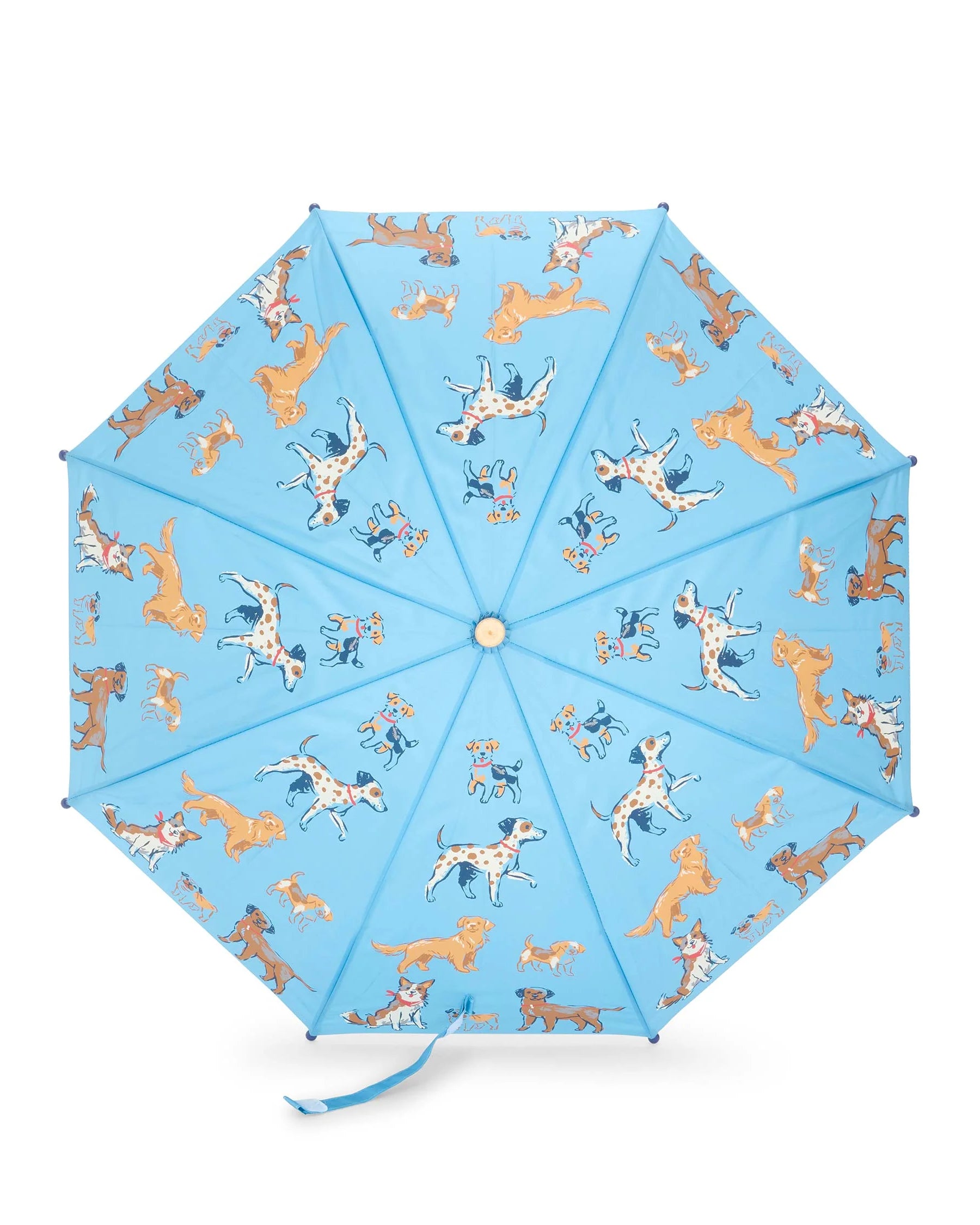Hatley Boys Little Pups blue children’s umbrella open top view with all-over dog print