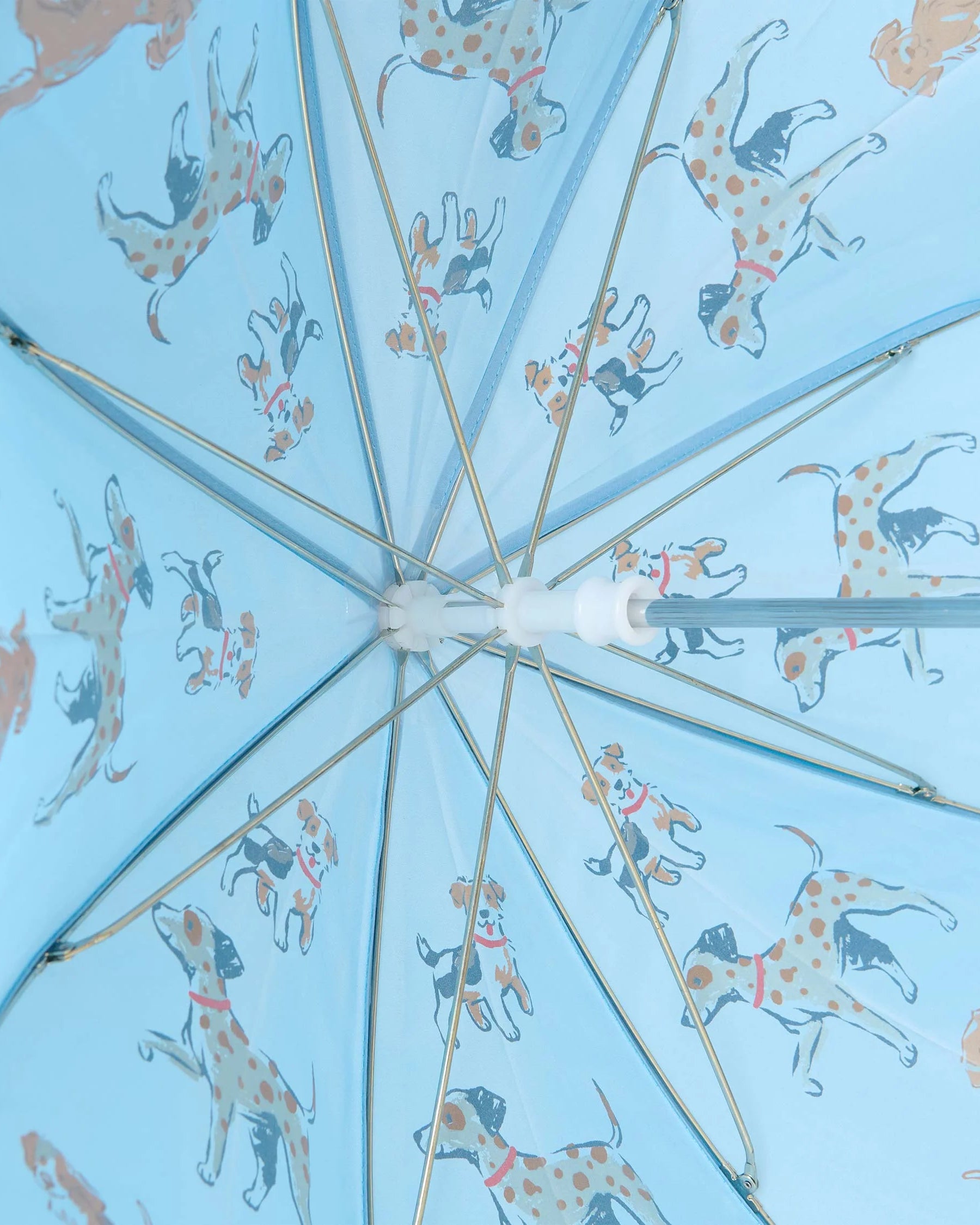 Hatley Boys Little Pups blue children’s umbrella interior view showing canopy and frame