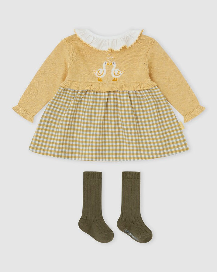 Baby girl wearing Tutto Piccolo mustard duck dress and tights set