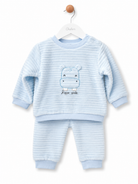 Babybol baby boys cute blue hippo 2 piece outfit set front view