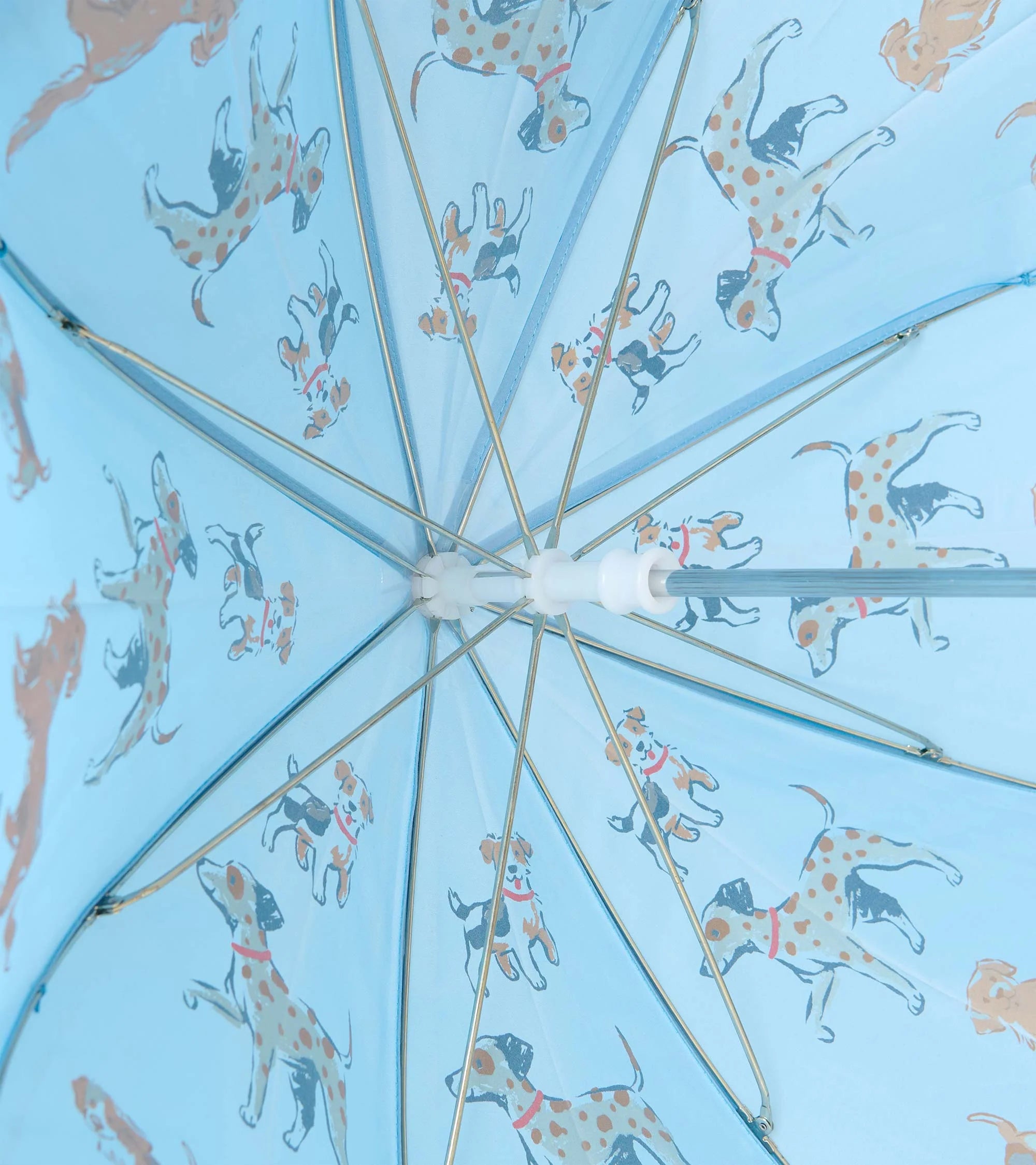 Hatley Boys Little Pups blue children’s umbrella interior view showing canopy and frame