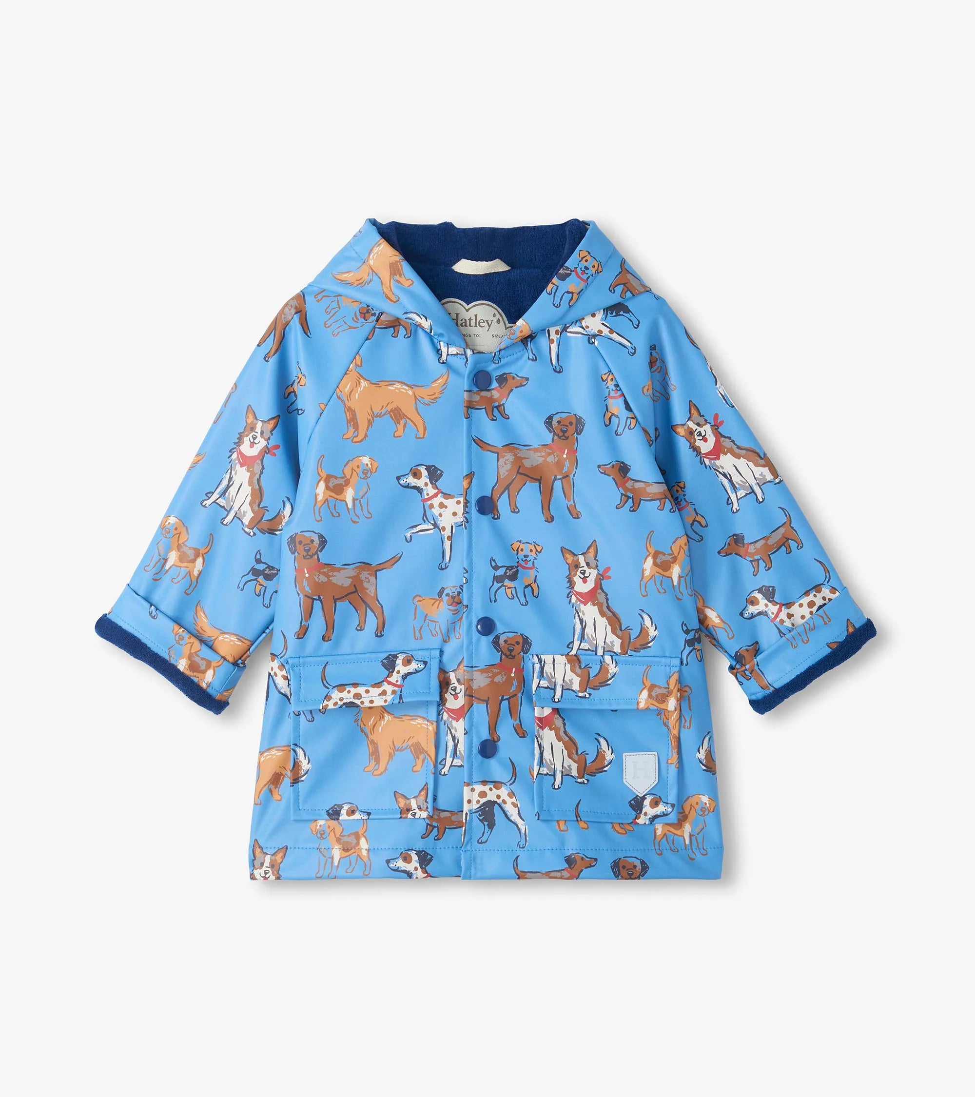 Hatley Baby & Boys Little Pups blue waterproof rain jacket front view with dog print