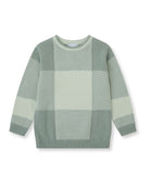 Tutto Piccolo sea green check knit sweater back view