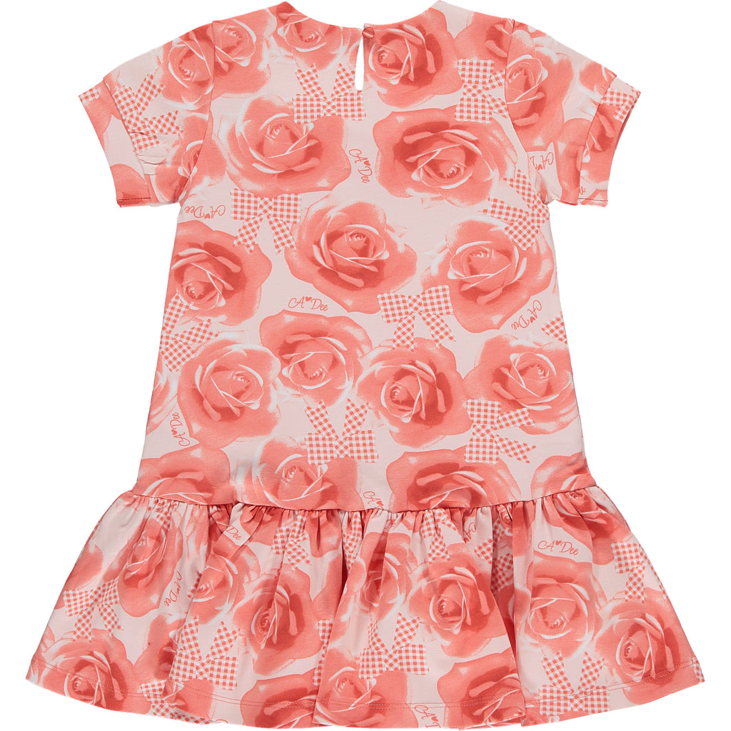 A Dee Yael Girls Coral Rose Print Occasion  Dress