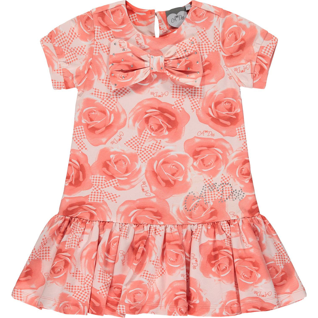 A Dee Yael Girls Coral Rose Print Layer Dress